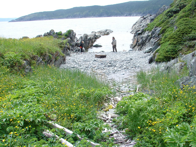 Cobble beach and narrow cove.